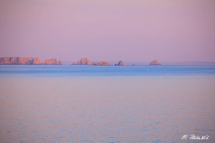 Tas de pois