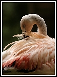 Posture
