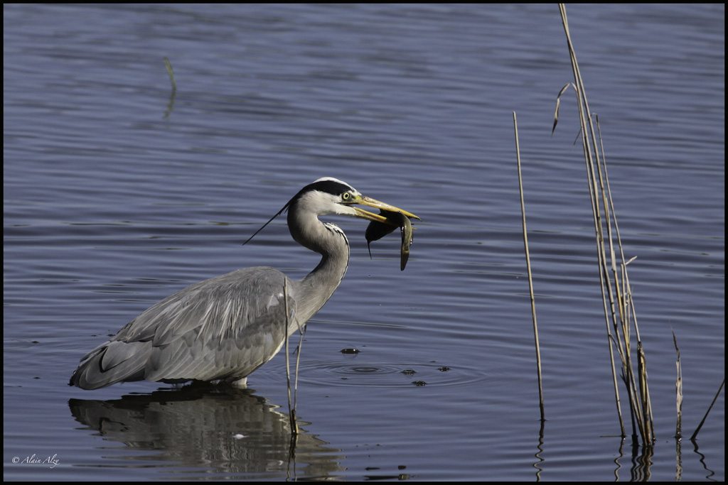 -img_6104-edit.jpg