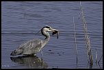 -img_6104-edit.jpg