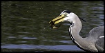 -img_6263-edit.jpg