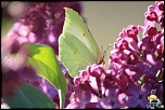 faune et flaure