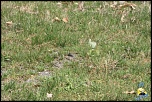 Pixel mort-img_9369-copier-.jpg