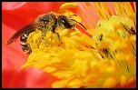 -img_4834_web.jpg