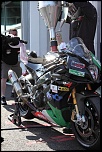 IMG 9955