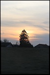Soleil + Arbre !