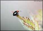 Et un de plus...-img_9738.jpg