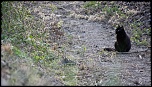 Et un de plus...-img_0694.jpg