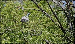 Et un de plus...-img_0742.jpg