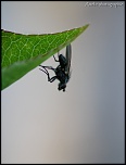 Et un de plus...-img_0197.jpg