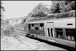 -img_9239.jpg