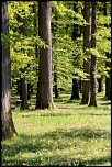 -img_0155.jpg