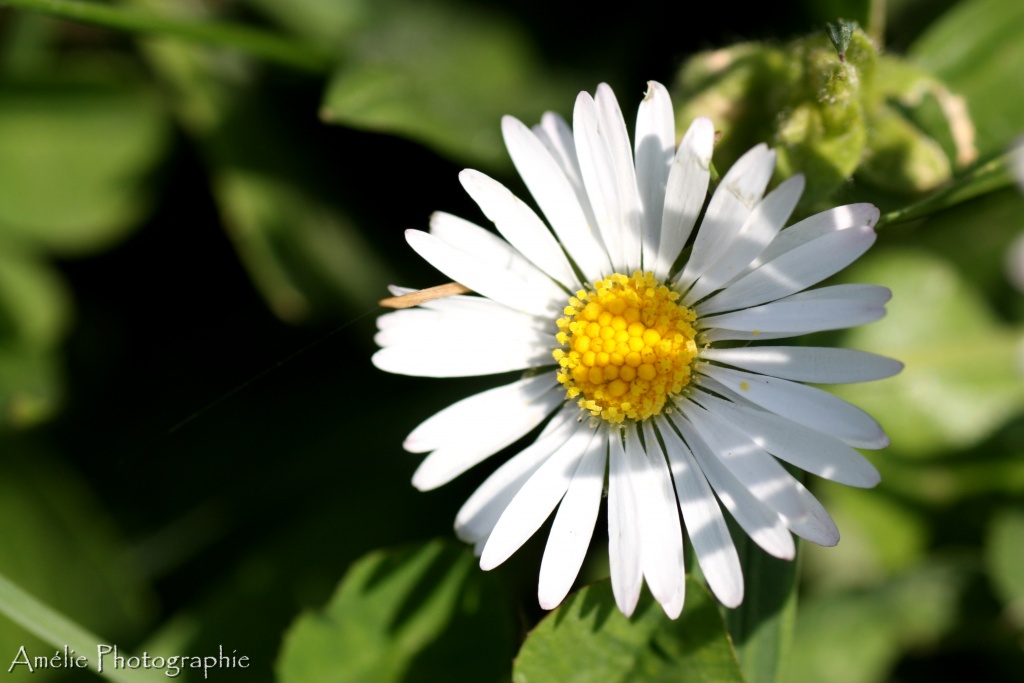 -img_9327.jpg