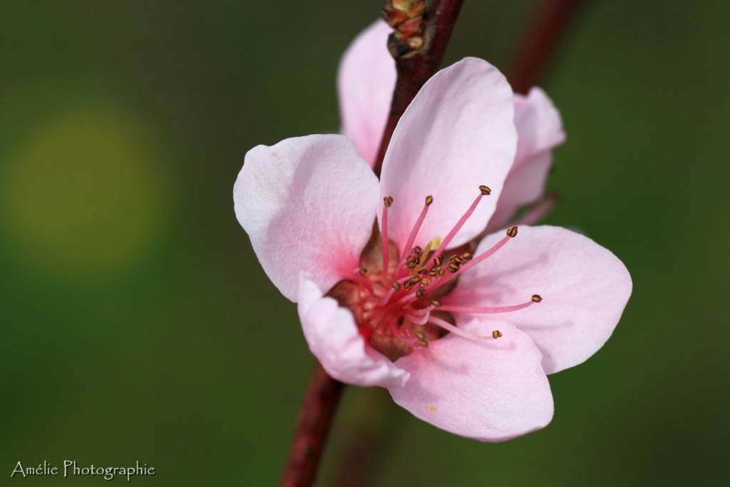 -img_8423.jpg