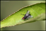 Et un de plus...-img_0969.jpg