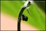 Et un de plus...-img_0966.jpg