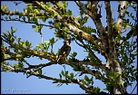 Et un de plus...-img_0998.jpg
