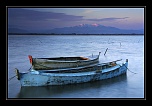 trepied?-_mg_3428.jpg