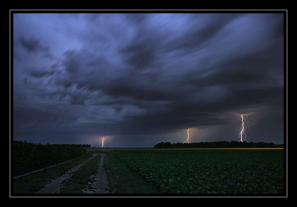 trepied?-_mg_2097.jpg