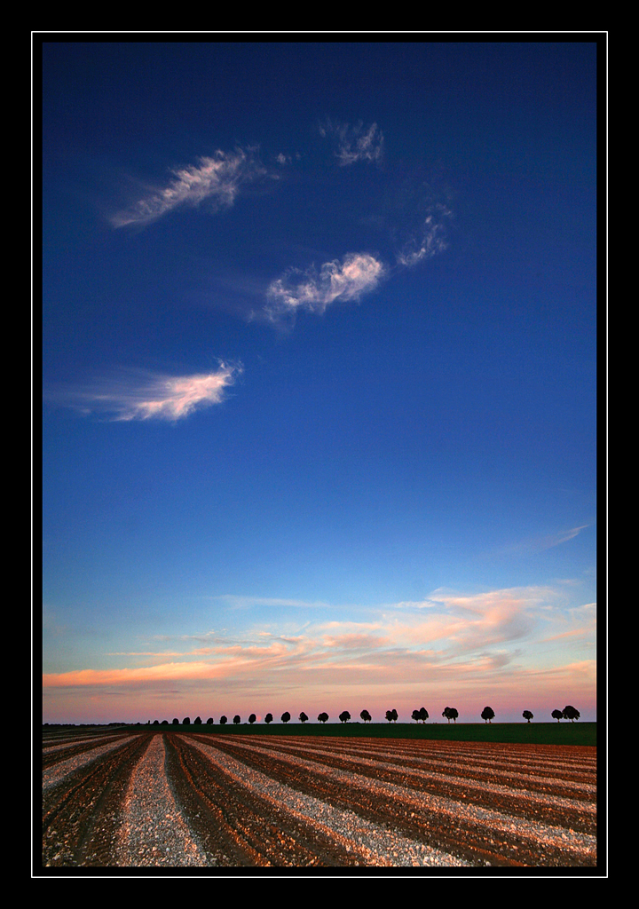 trepied?-_mg_2651.jpg