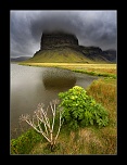 trepied?-_mg_2146.jpg