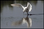 IMG 6486