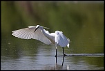 IMG 6511