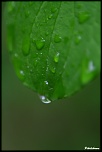 -img_2577.jpg