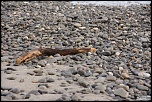-img_0326.jpg