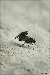 -img_2707.jpg