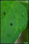 -img_2722.jpg