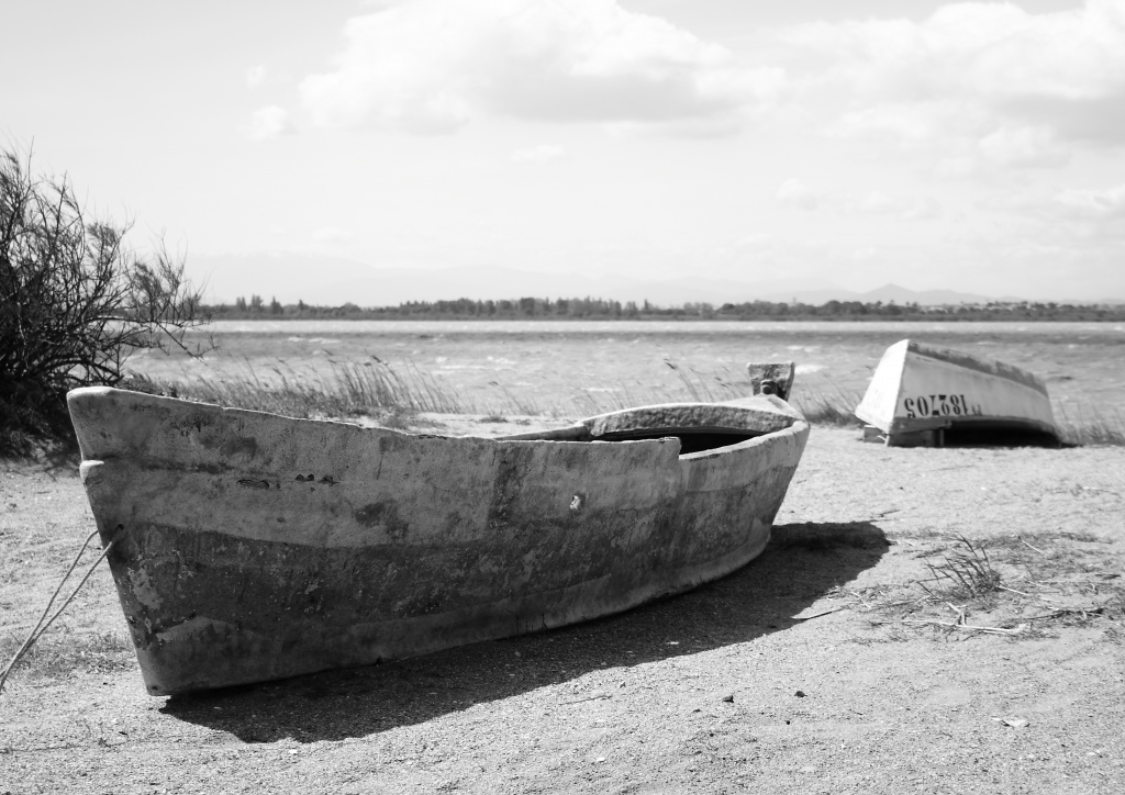 -img_7567.jpg