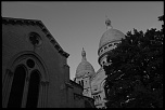IMG 4231