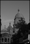 IMG 4241