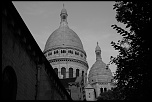 IMG 4229