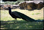 IMG 0276