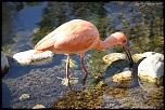 IMG 0424