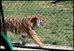 IMG 0340