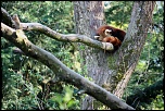 IMG 0475