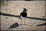 IMG 0411