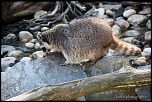 IMG 0402