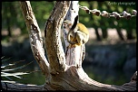 IMG 0492