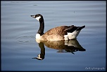 IMG 0480 2