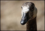 IMG 0451