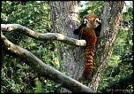 IMG 0457