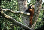 IMG 0458