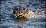 IMG 0439