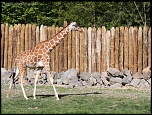 IMG 0383