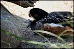IMG 0419