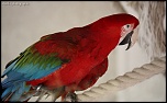 IMG 0374
